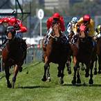 5 horse bet